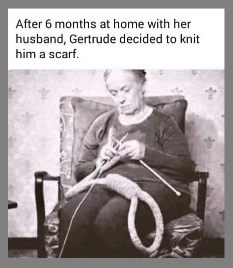 knit-a-scarf.jpg