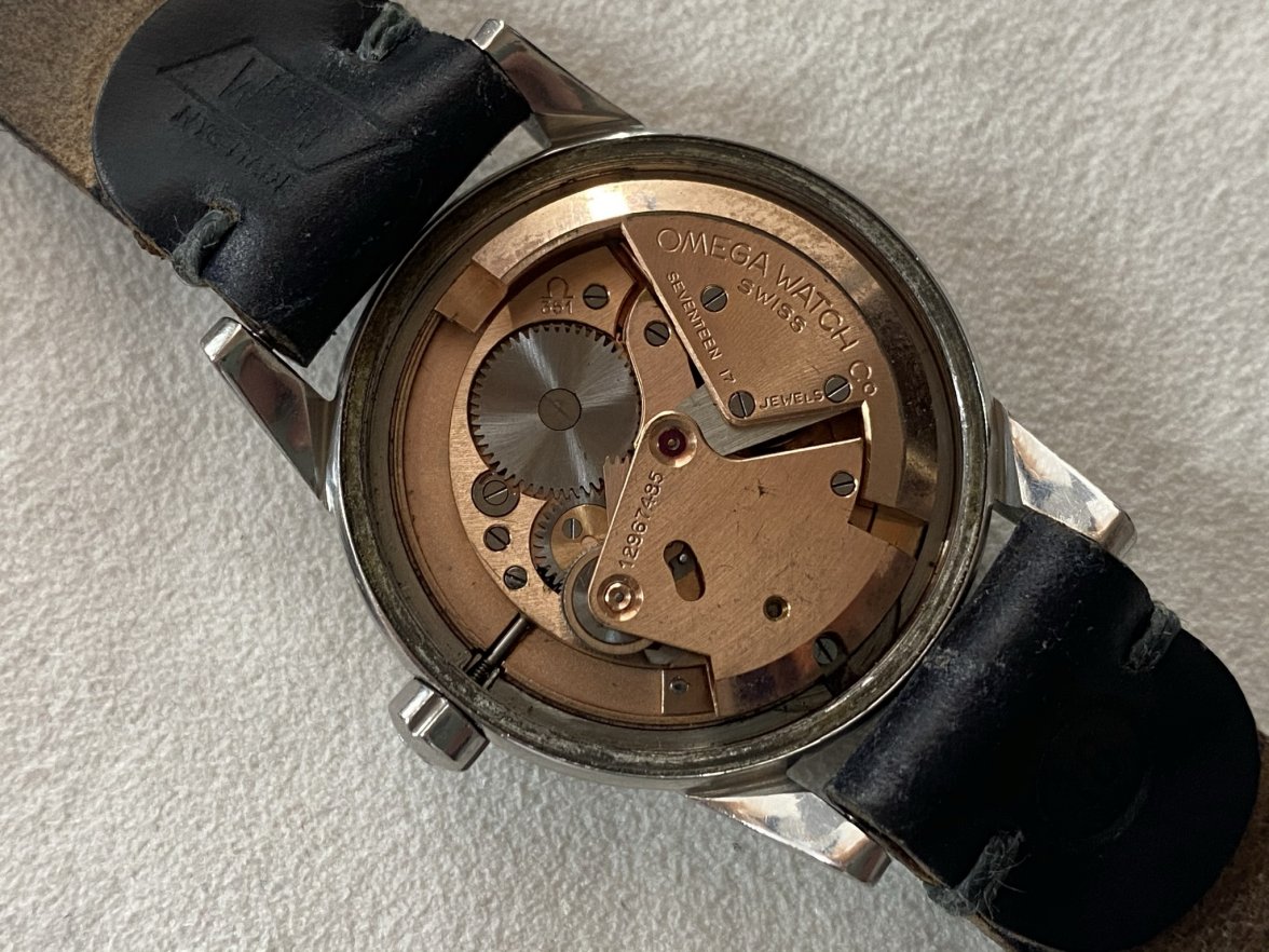 IMG_5913.jpeg IMG_5913.jpeg