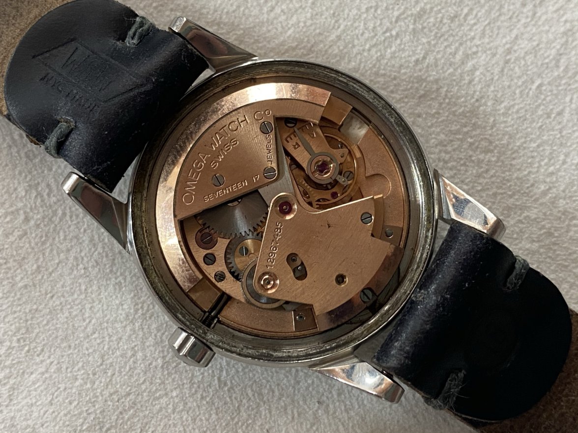 IMG_5914.jpeg IMG_5914.jpeg