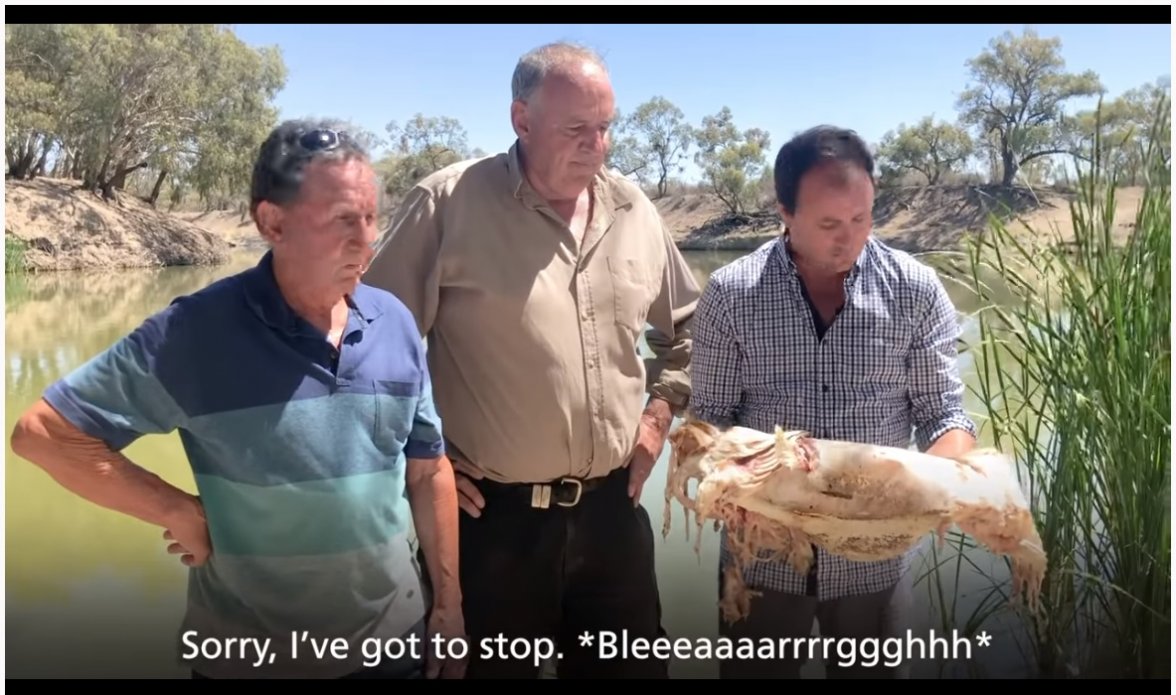 Fish stink.jpg