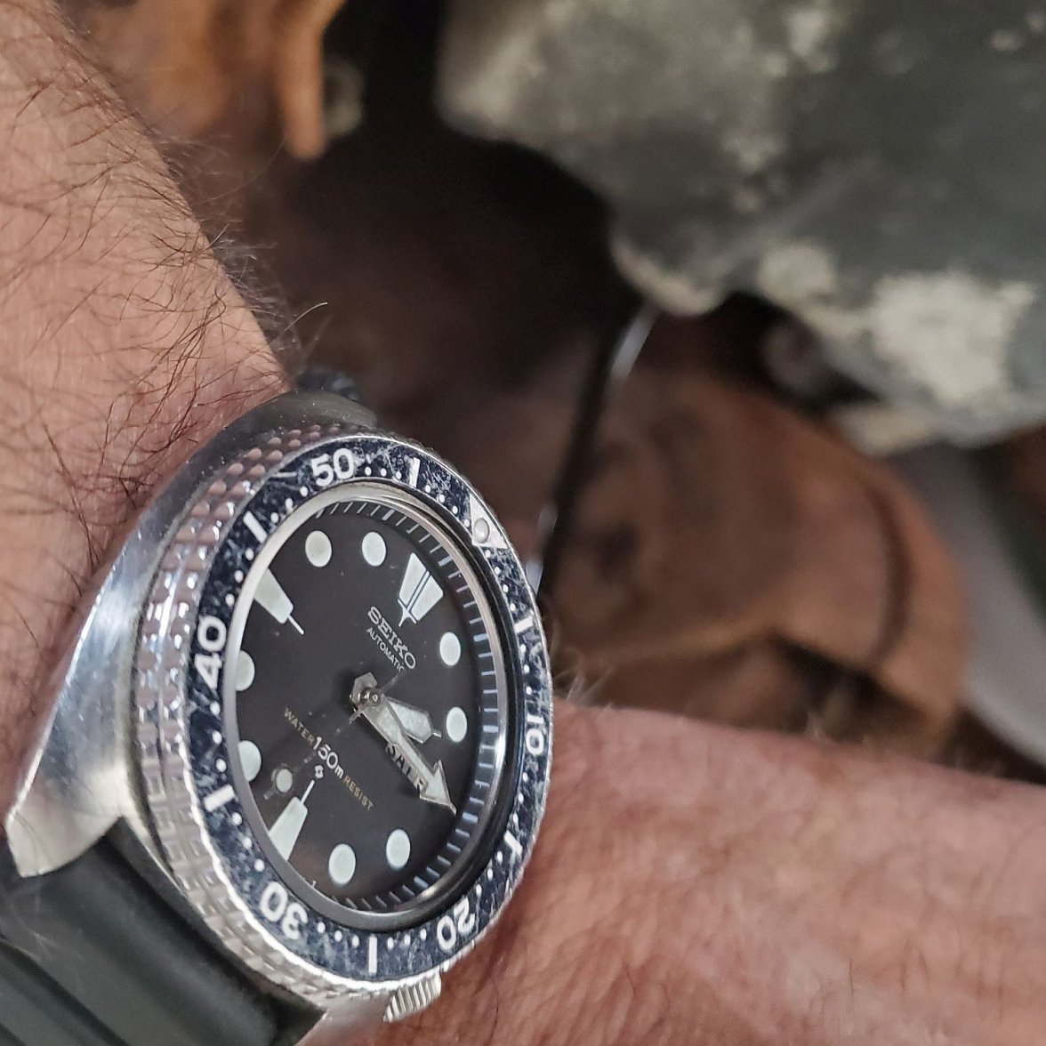 6309 ws 2b 20201205_141543.jpg