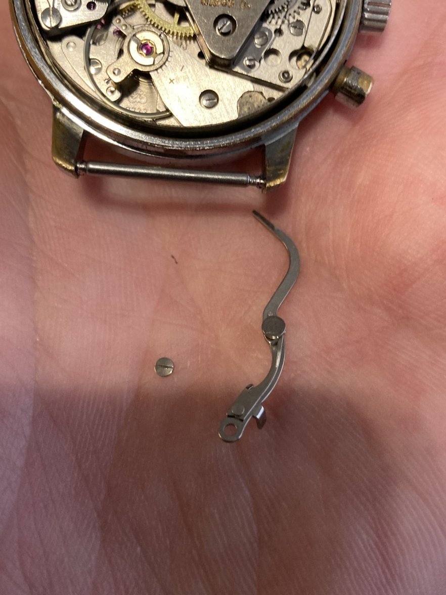 4BE3F0D9-8DDF-46BE-8942-8F421FF89C16.jpeg 4BE3F0D9-8DDF-46BE-8942-8F421FF89C16.jpeg