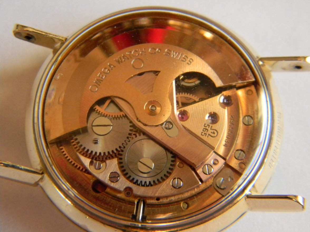 omega_kleerback 009.JPG