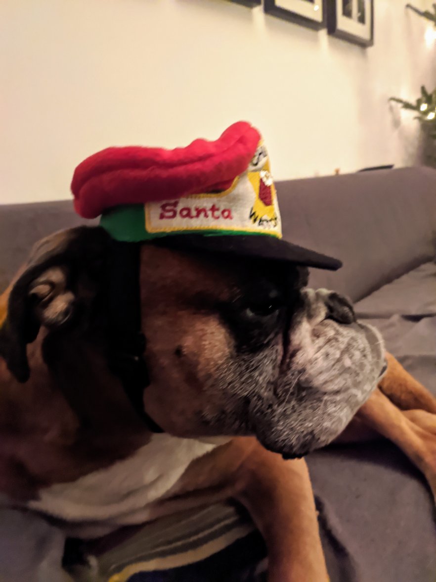 IMG_20201129_203910.jpg IMG_20201129_203910.jpg