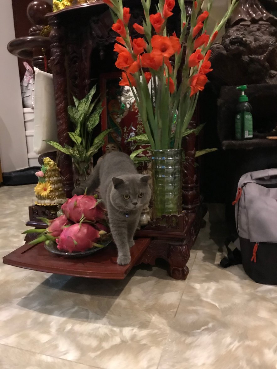 IMG_0141.jpeg IMG_0141.jpeg