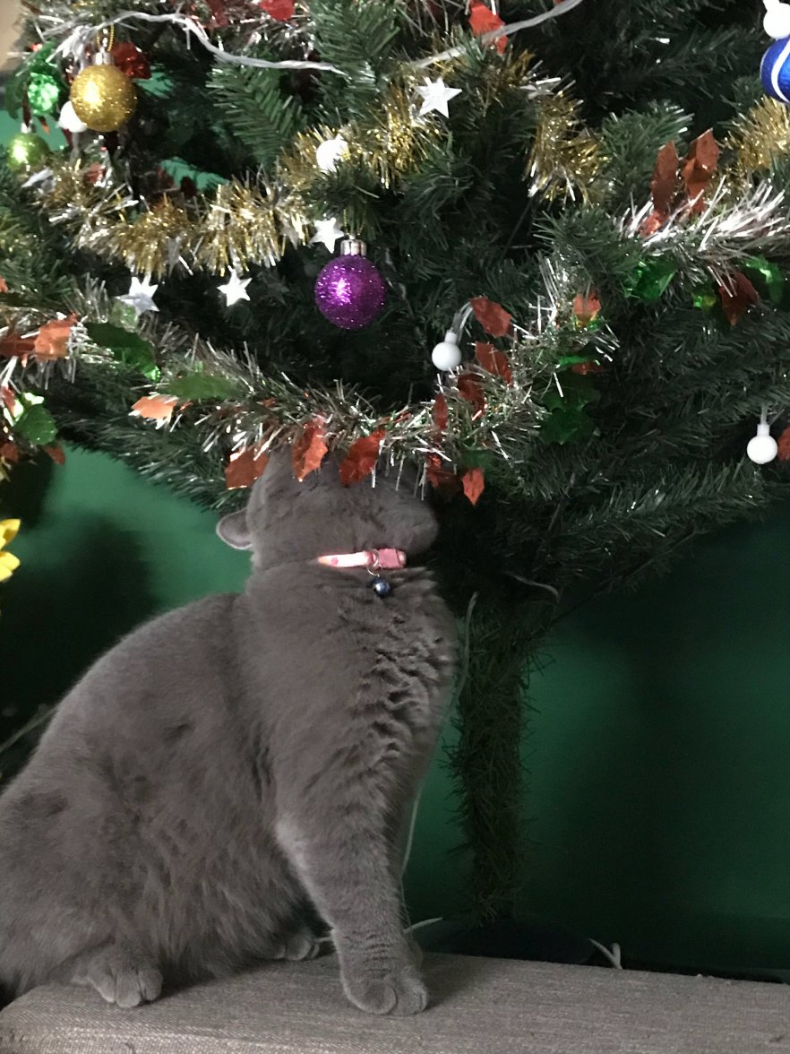 IMG_0254.jpeg IMG_0254.jpeg