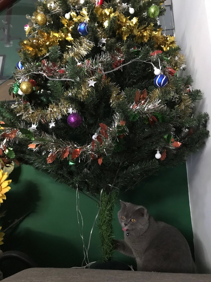 IMG_0257.jpeg IMG_0257.jpeg