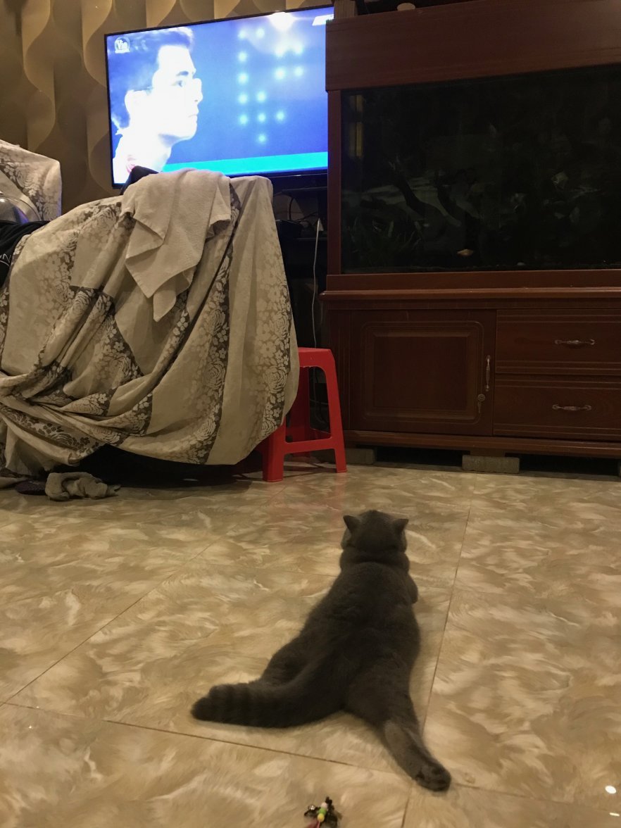 IMG_0276.jpeg IMG_0276.jpeg