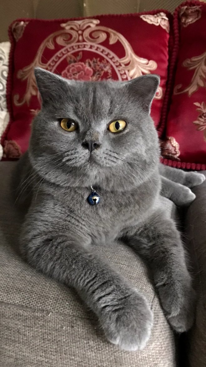 IMG_0303.jpeg IMG_0303.jpeg