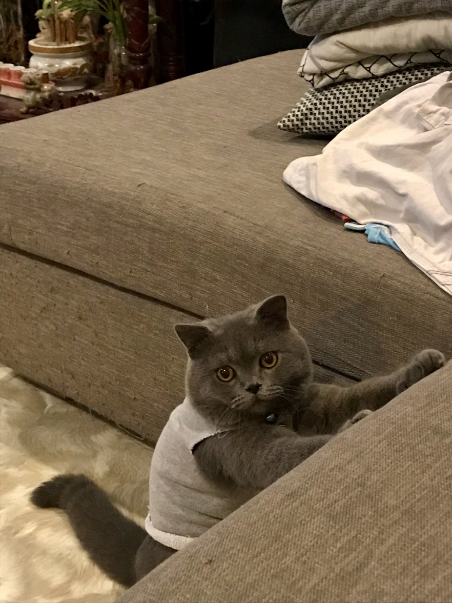 IMG_0336.jpeg IMG_0336.jpeg