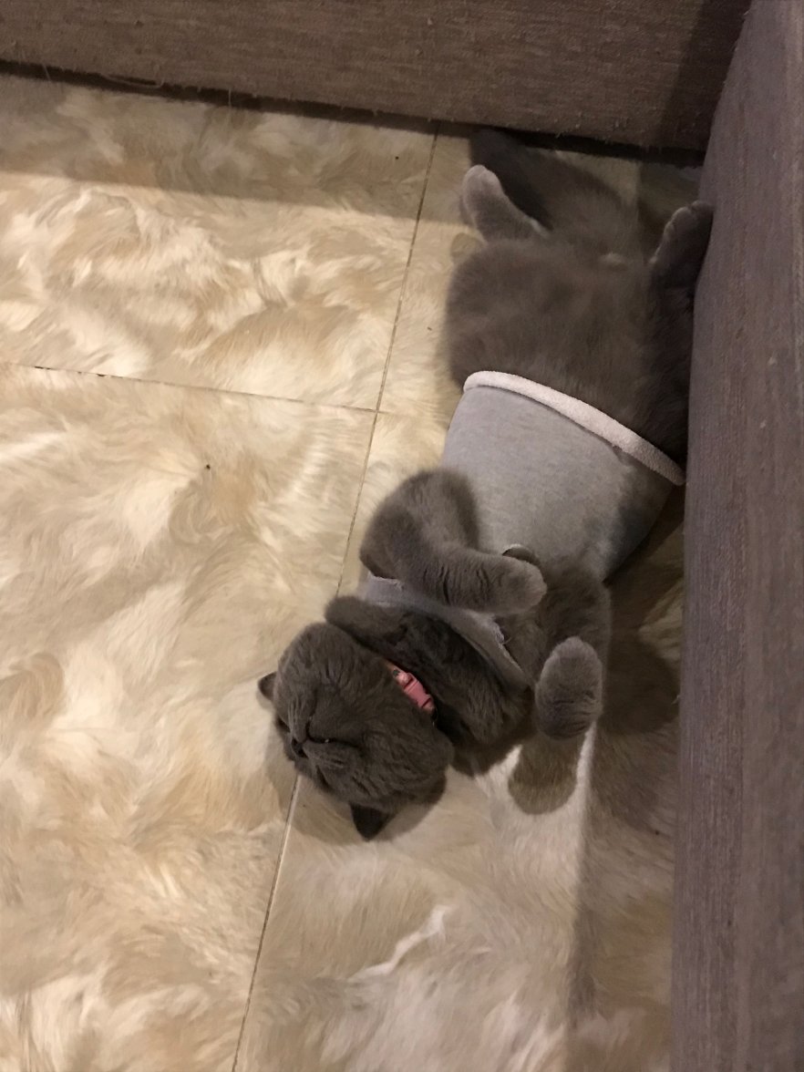 IMG_0341.jpeg IMG_0341.jpeg