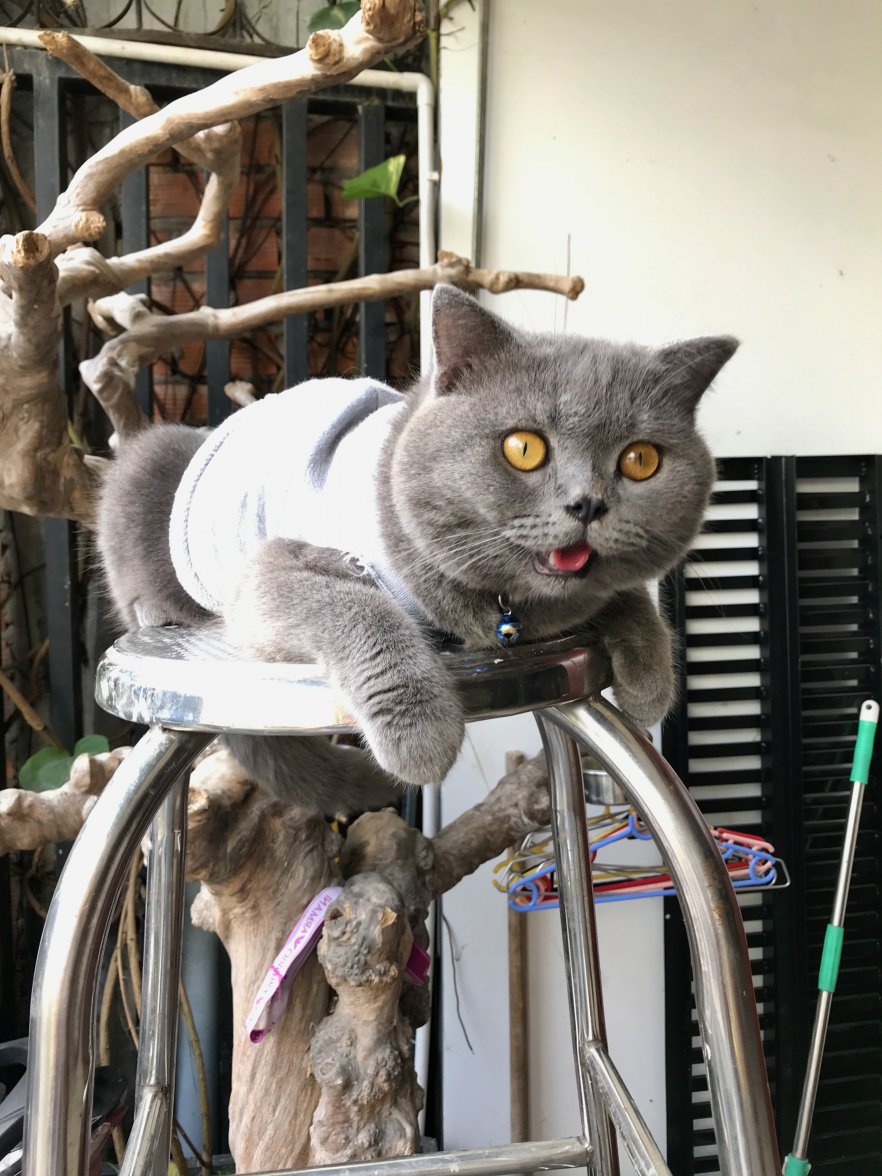 IMG_0357.jpeg IMG_0357.jpeg