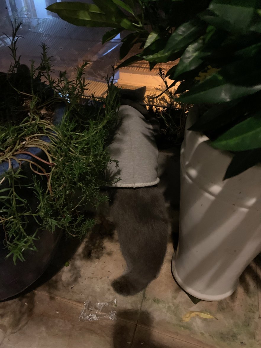 IMG_1073.jpeg IMG_1073.jpeg