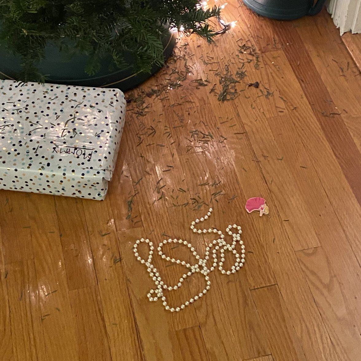 36888222-91D0-424C-89B9-90637E4CEC35.jpeg 36888222-91D0-424C-89B9-90637E4CEC35.jpeg