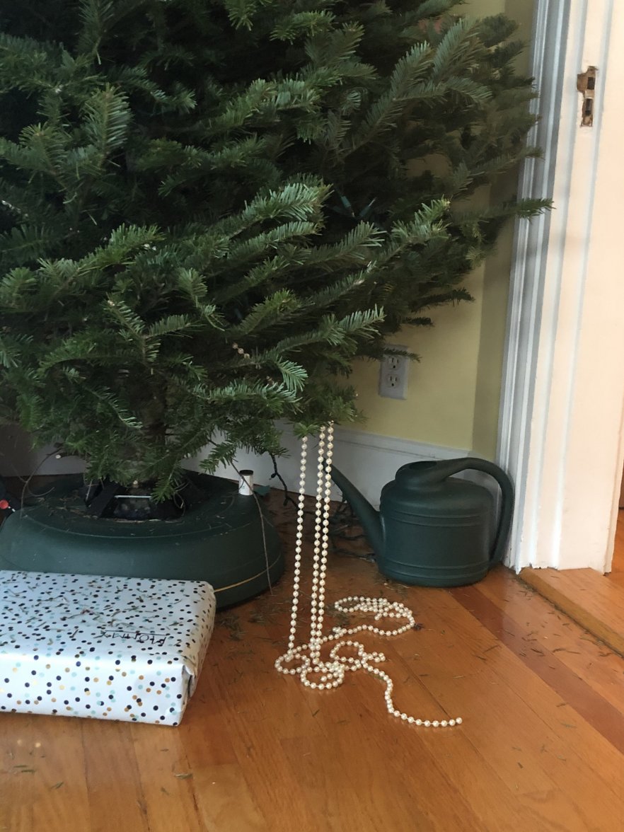 C8180479-E644-47E5-9B34-49002C556C63.jpeg C8180479-E644-47E5-9B34-49002C556C63.jpeg