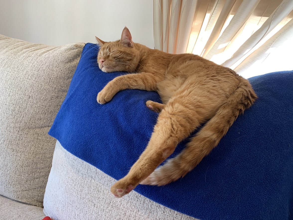 F9ACDF94-E466-4442-8429-7A59B4F9605F.jpeg F9ACDF94-E466-4442-8429-7A59B4F9605F.jpeg