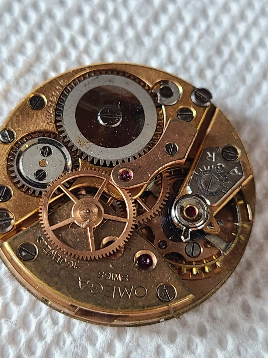 20201210_124906.jpg