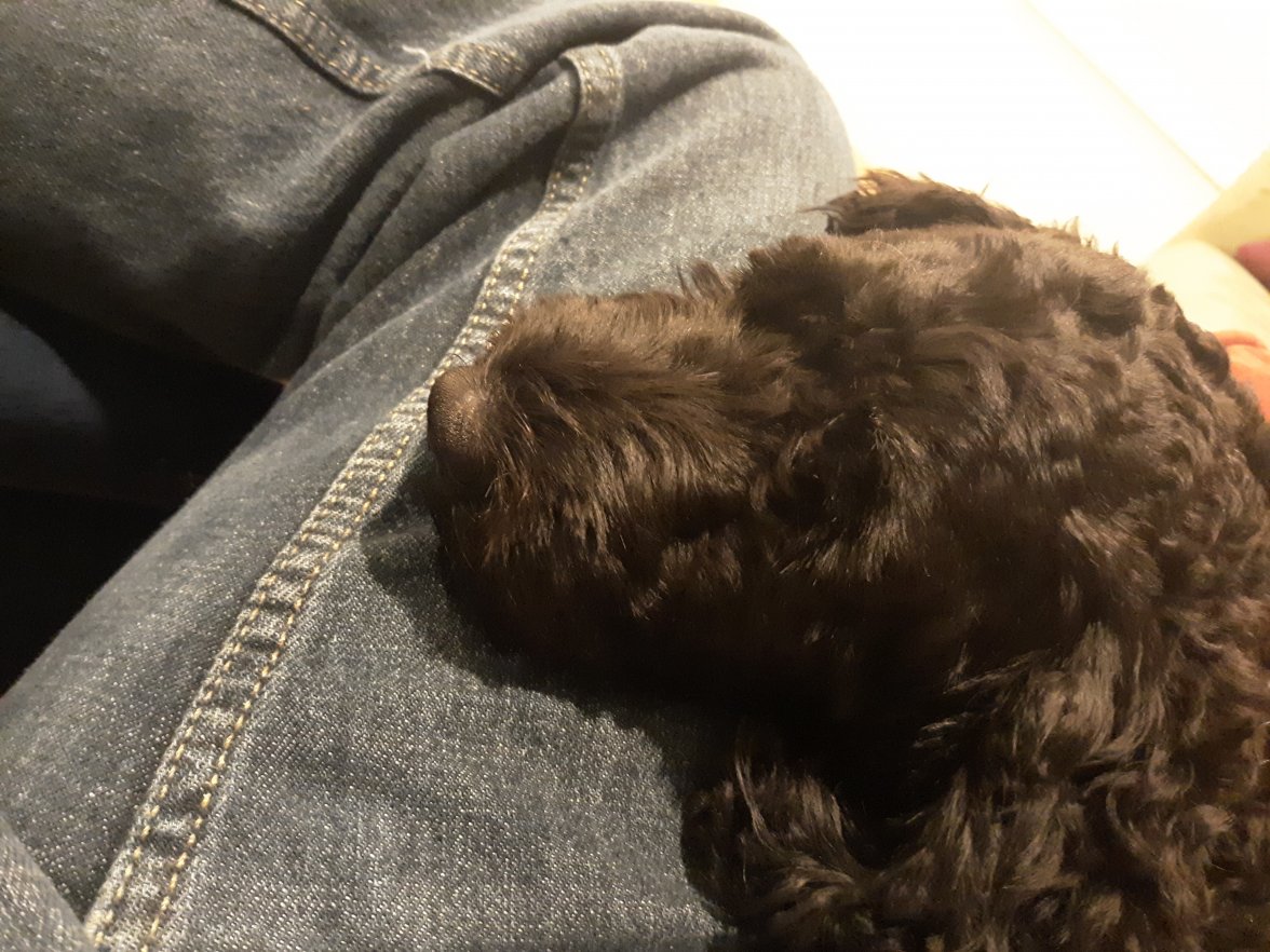 20201118_191518.jpg 20201118_191518.jpg