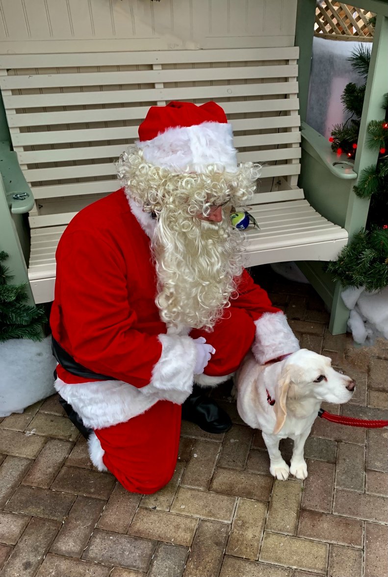 C9B9A96F-8A04-4FD6-B2EF-96C5BAEB8493_1_201_a.jpeg C9B9A96F-8A04-4FD6-B2EF-96C5BAEB8493_1_201_a.jpeg