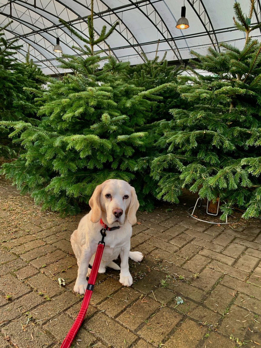 IMG_2182.jpeg IMG_2182.jpeg