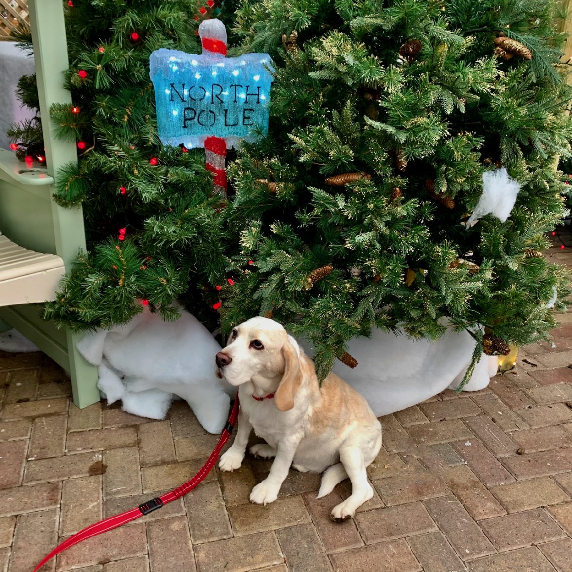 IMG_2191.jpeg IMG_2191.jpeg