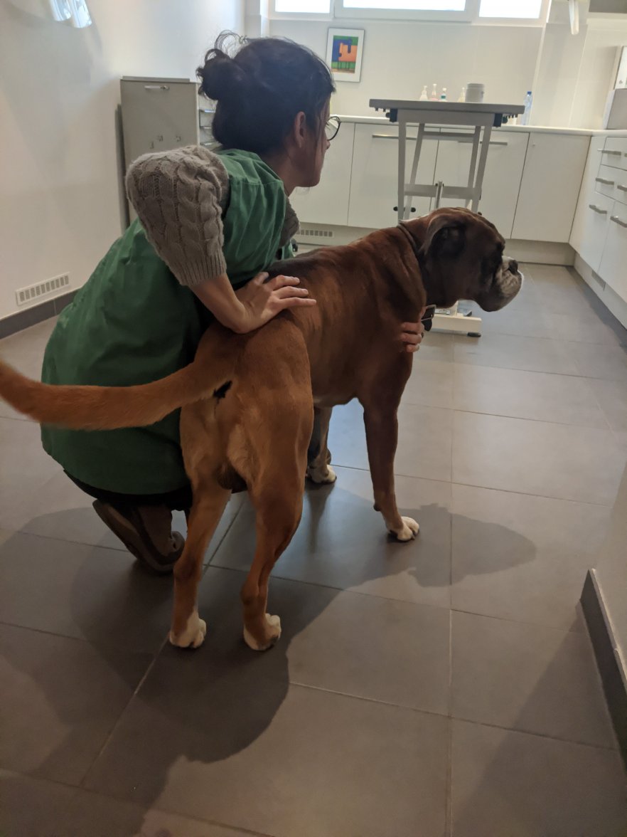 IMG_20201208_122731.jpg IMG_20201208_122731.jpg