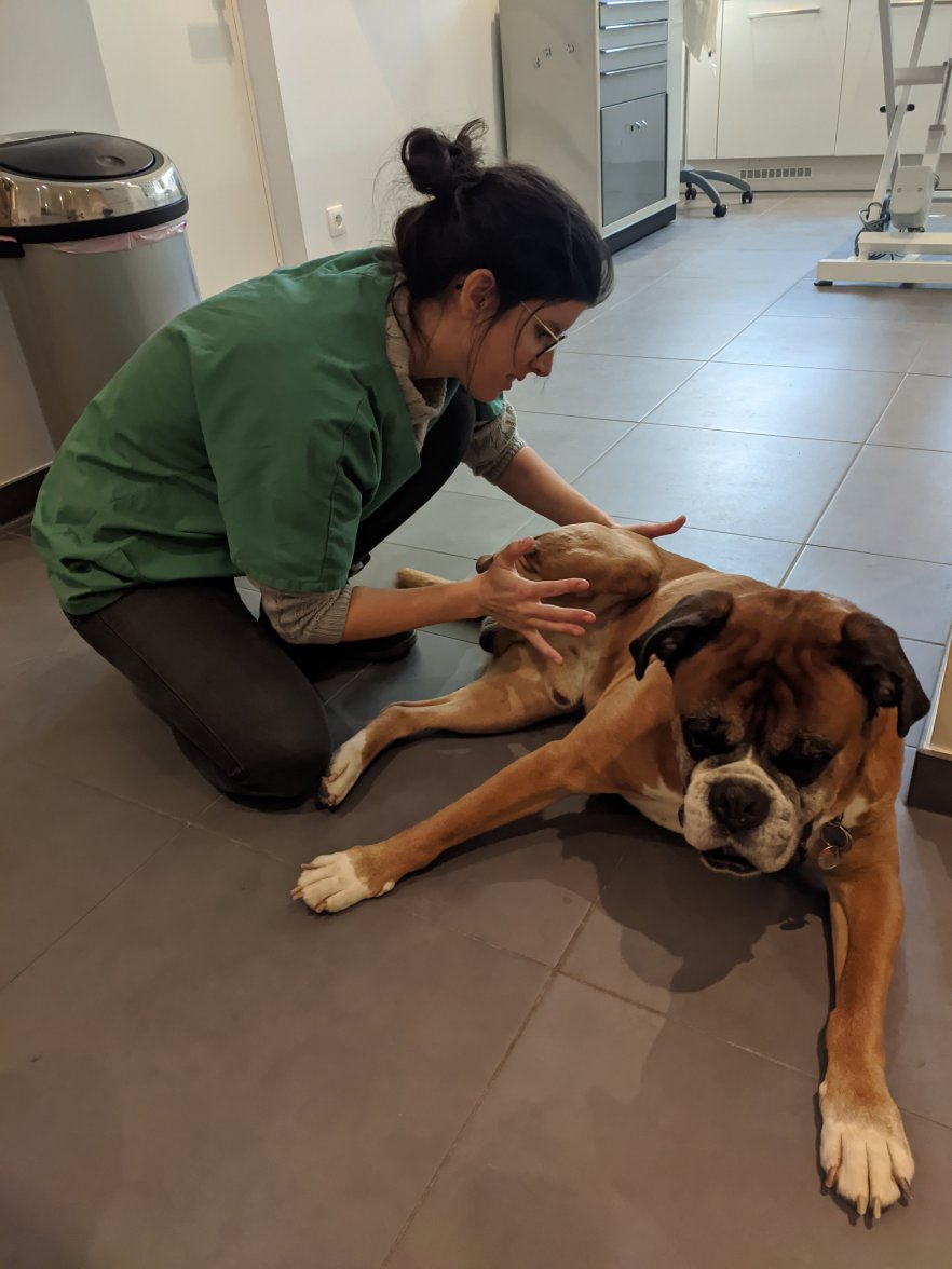 MVIMG_20201208_121414.jpg MVIMG_20201208_121414.jpg