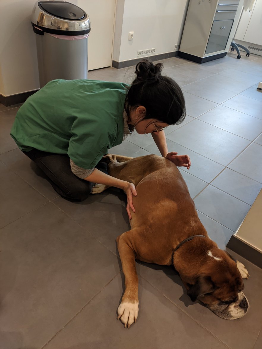 IMG_20201208_121349.jpg IMG_20201208_121349.jpg