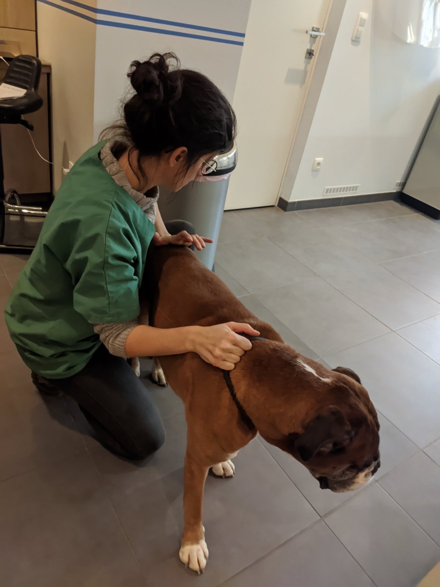 IMG_20201208_121329.jpg IMG_20201208_121329.jpg