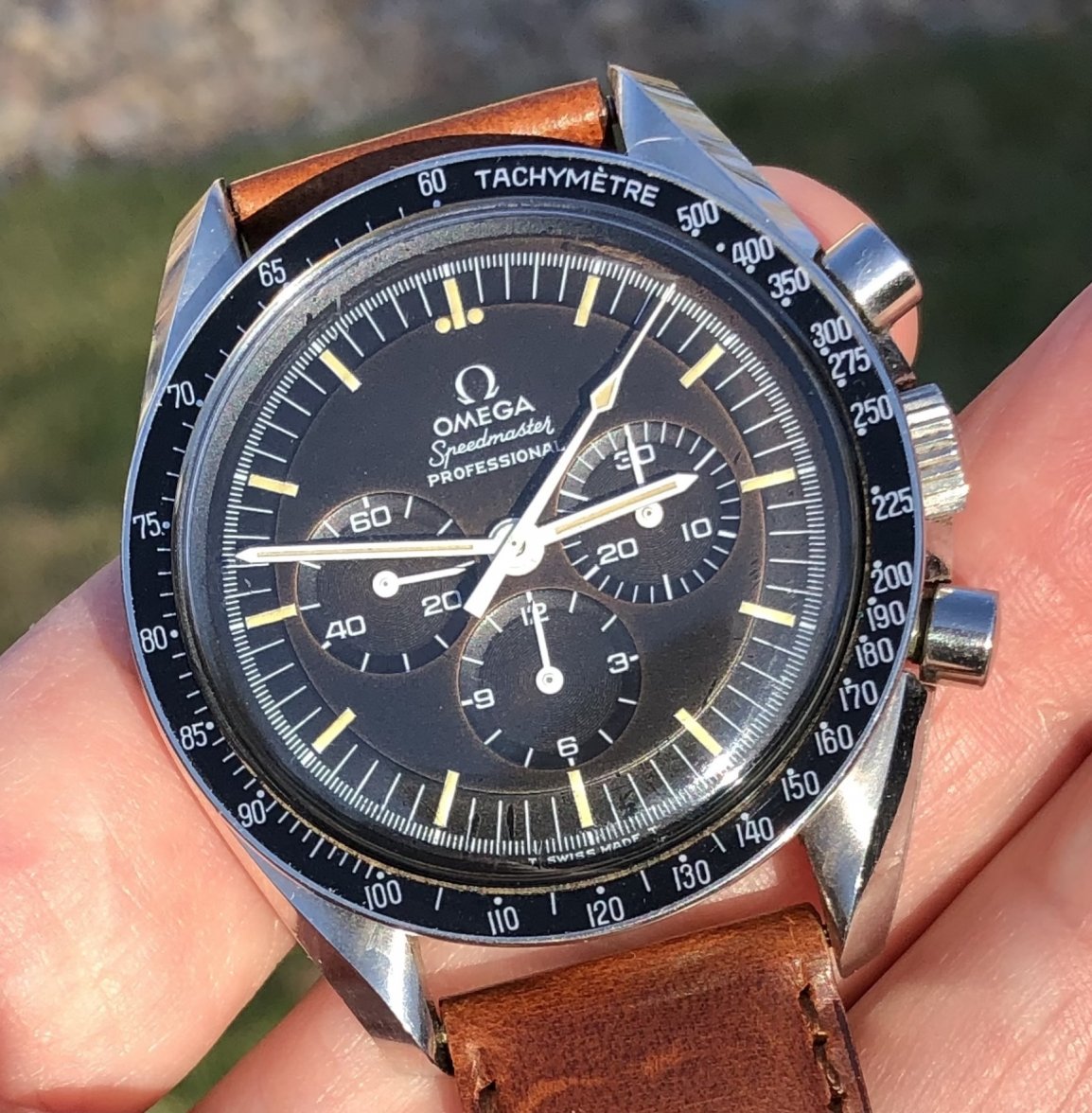 omega_14502269.jpeg