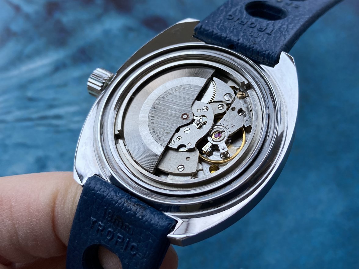 EAD13877-AAA7-4E55-BD58-AB911E267228.jpeg EAD13877-AAA7-4E55-BD58-AB911E267228.jpeg