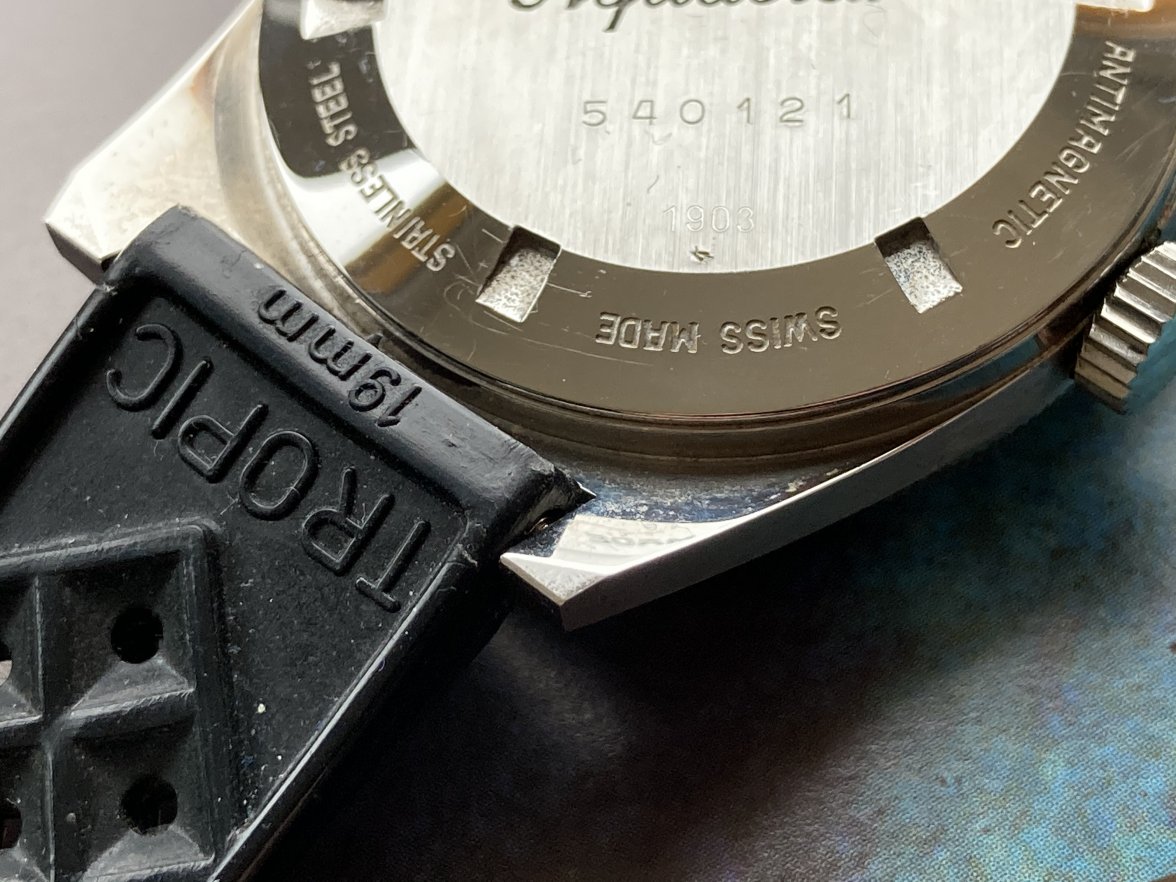 A9A54AA6-7469-4516-8D28-5FC8DDA9D7FE.jpeg A9A54AA6-7469-4516-8D28-5FC8DDA9D7FE.jpeg