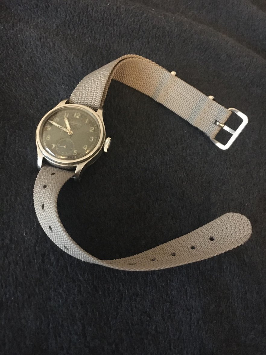 126325791_10224619250296924_7411371836128486371_o.jpg 126325791_10224619250296924_7411371836128486371_o.jpg