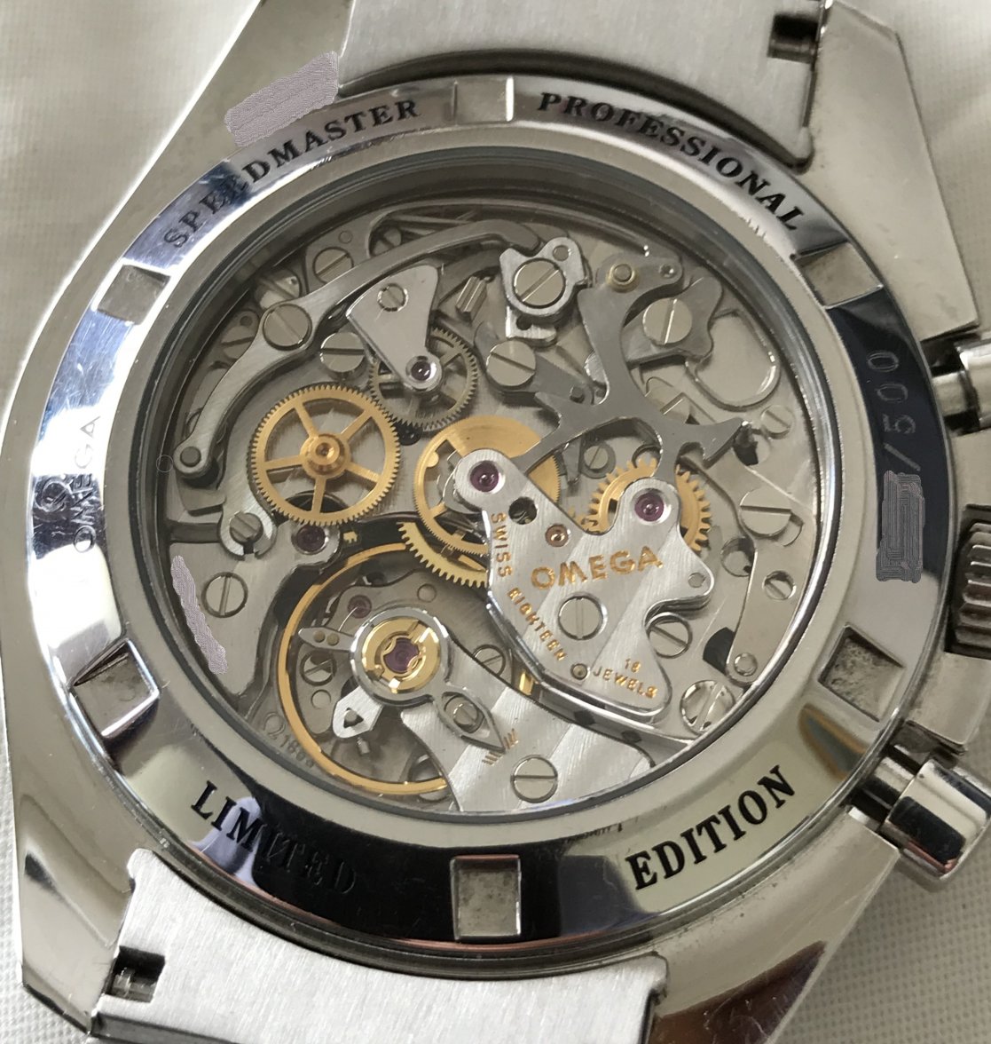 Albino caseback3 - Copy.jpg