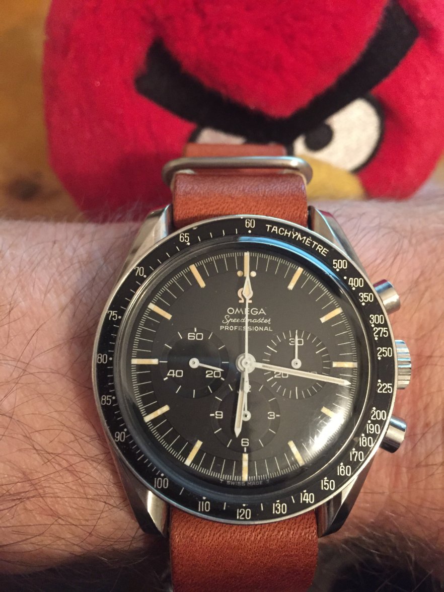 DC6A4A82-5948-4DCD-8E61-0D8B55D33520.jpeg DC6A4A82-5948-4DCD-8E61-0D8B55D33520.jpeg