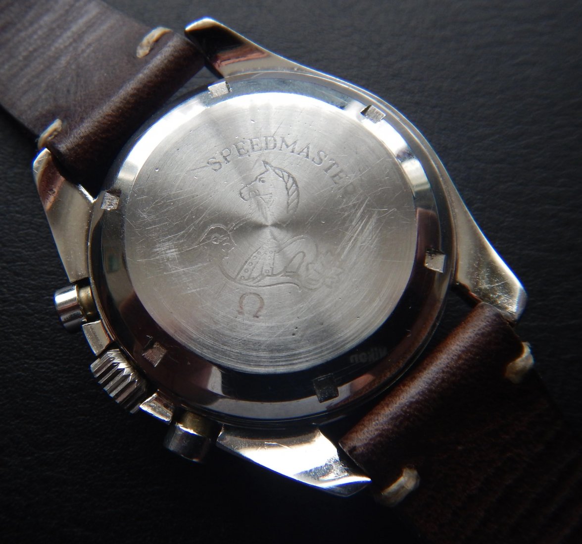 15689386-cezylyttm4dgxys51mqa3mxy-Zoom copy.jpg