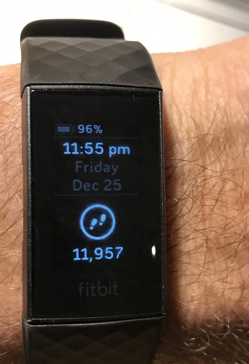 fitbit - Copy.jpg