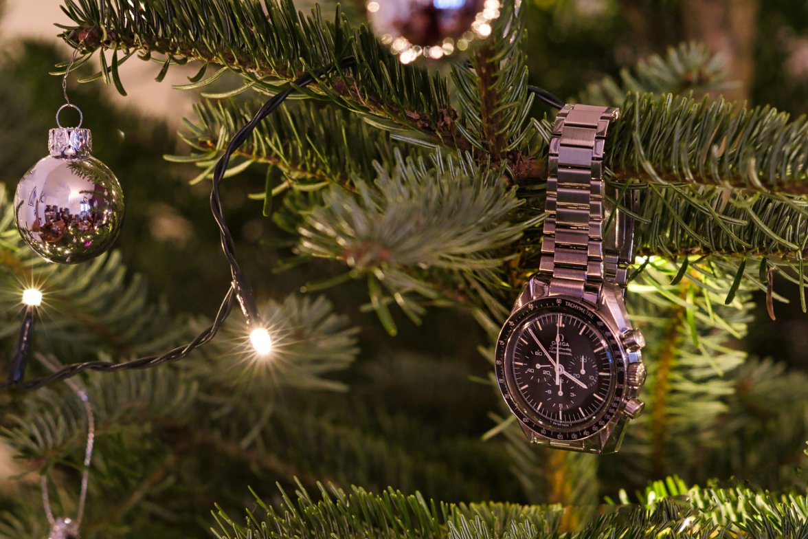 DSC_5415 (2) (1)_red2400.jpg