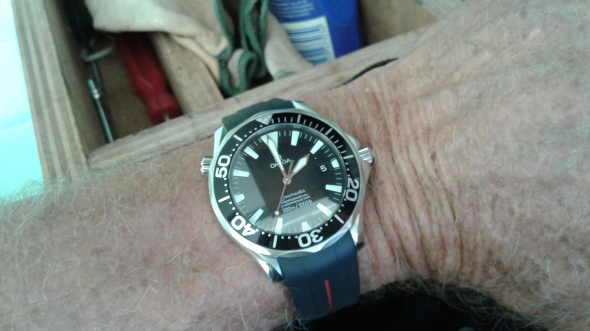 20201205_135915.jpg