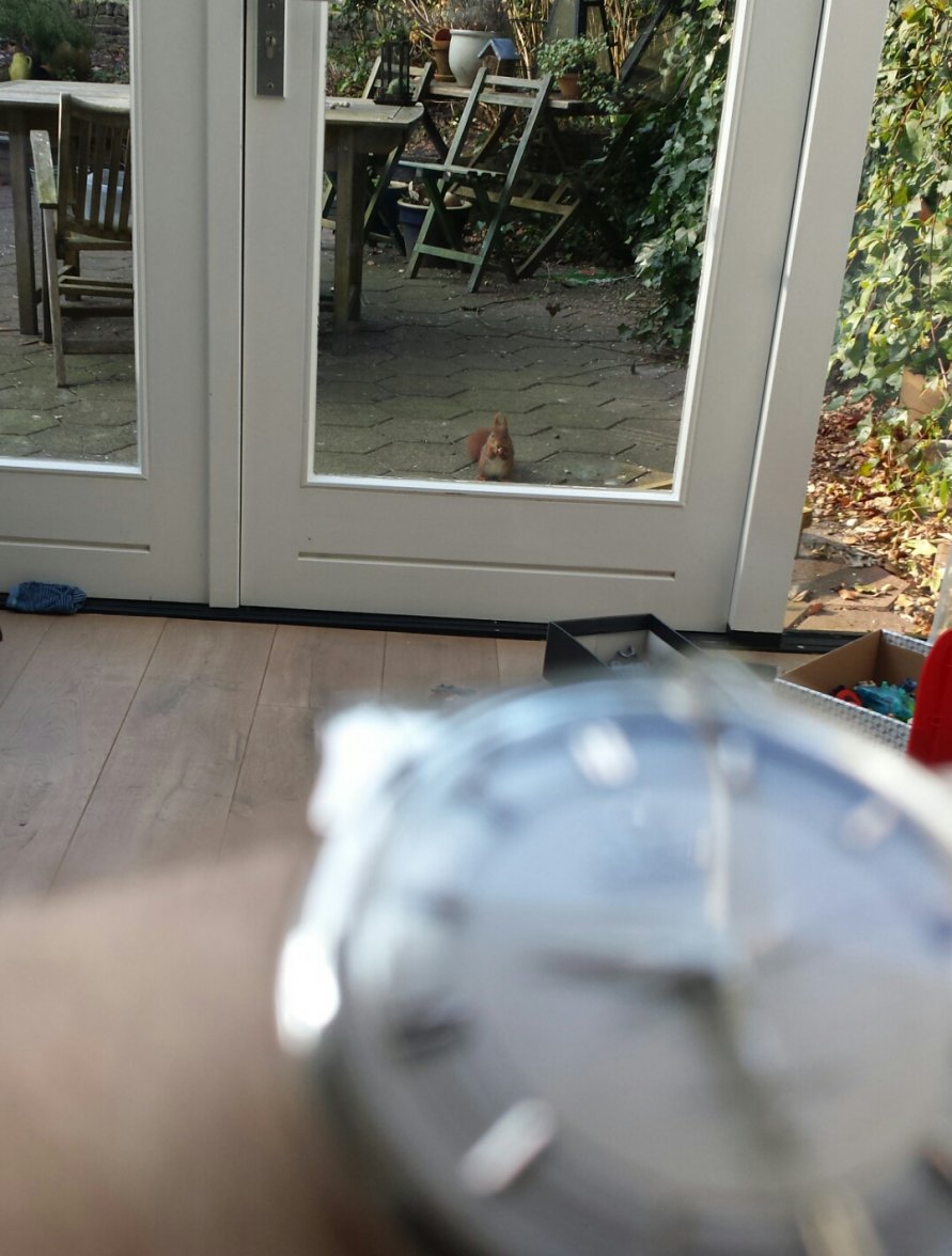 2015-03-23 09.33.44.jpg