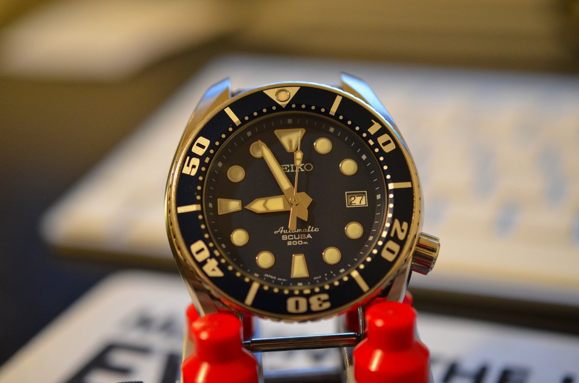 DSC_6783.JPG DSC_6783.JPG