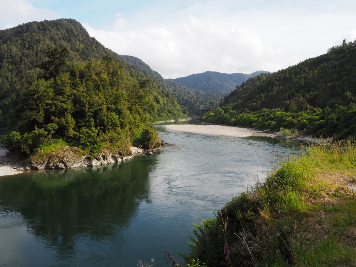 BE33AB74-B3B4-4679-BD6C-13DC5E19E7C0.jpeg BE33AB74-B3B4-4679-BD6C-13DC5E19E7C0.jpeg