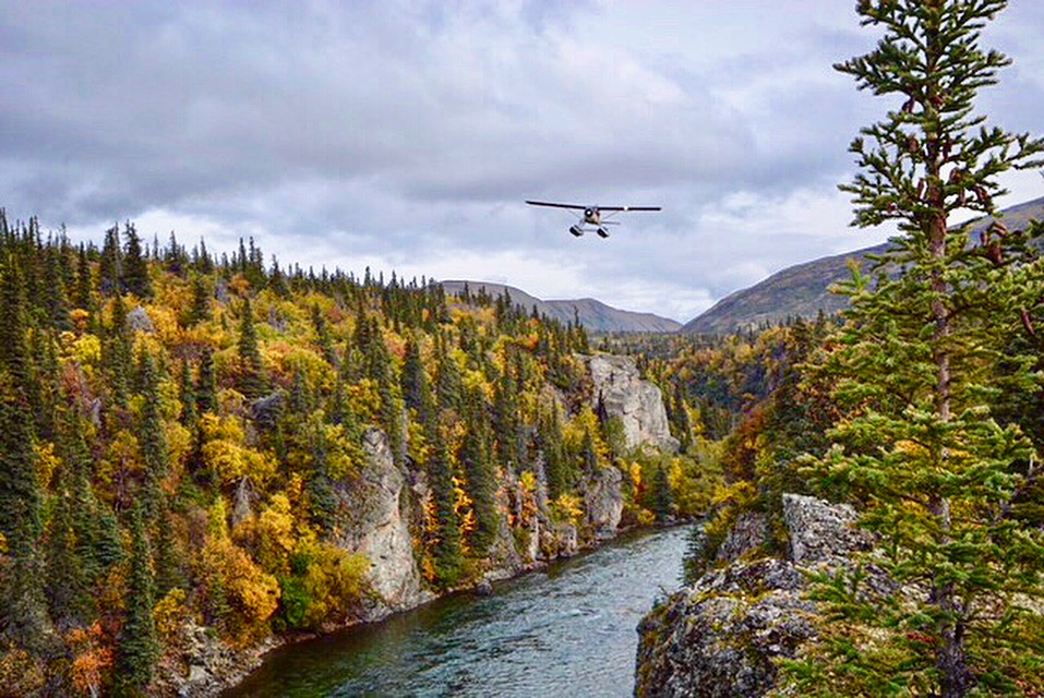 6F6E4433-633E-451D-ADA1-FF33B34A720E.jpeg 6F6E4433-633E-451D-ADA1-FF33B34A720E.jpeg