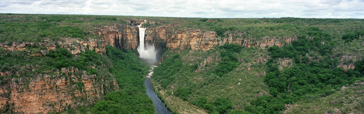 C465905A-741F-47F3-8B99-C599569F5298.jpeg C465905A-741F-47F3-8B99-C599569F5298.jpeg