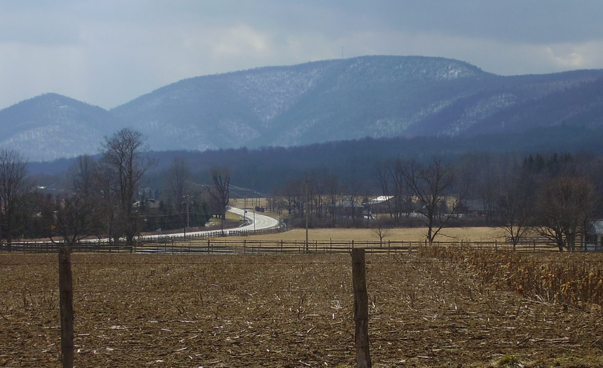 E0D99E34-7BE7-44B9-8252-E6490A138996.jpeg E0D99E34-7BE7-44B9-8252-E6490A138996.jpeg