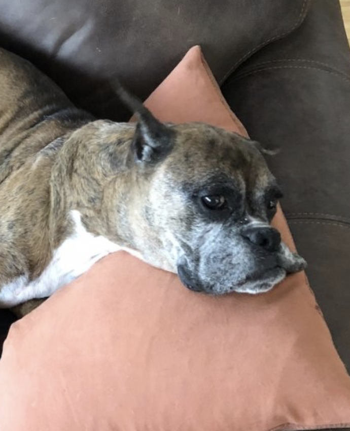 Screenshot 2021-01-02 at 21.44.04.png