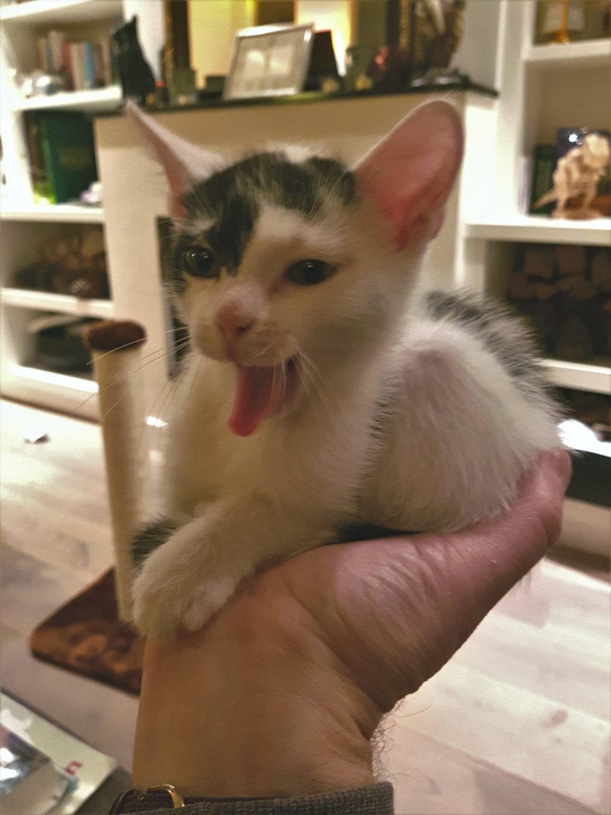 2020-11-21 22.59.32 1.jpg