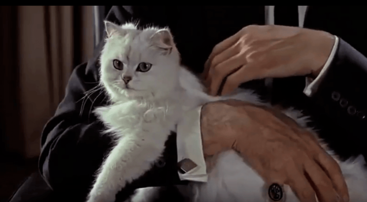 Screen Shot 2021-01-08 at 9.39.42 PM.png