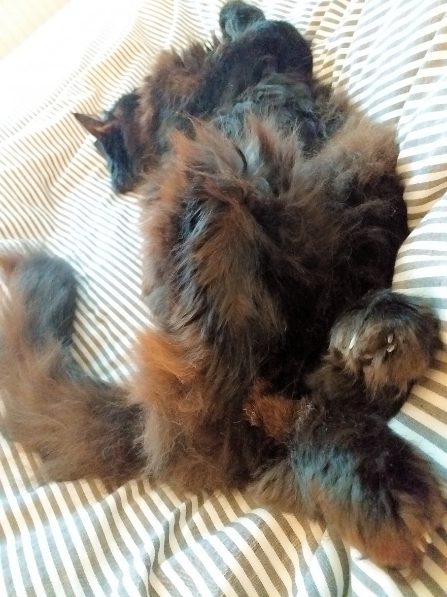 20201031_092740 - Copy.jpg