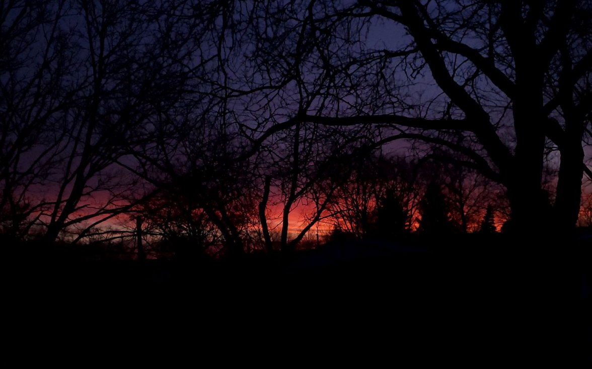 Stingray sunrise 1b 20210114_070243.jpg